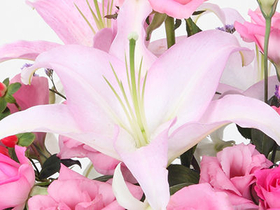 Flower Delivery Tokyo