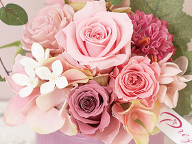 Flowers to Tokyo