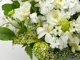 Sympathy Flowers to Japan – White Arrangement