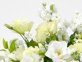 Sympathy Flowers to Japan – White Arrangement