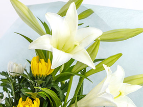 sympathy-flowers-to-japan
