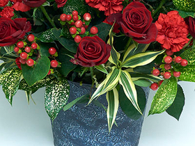 Cheap Flower Delivery Japan