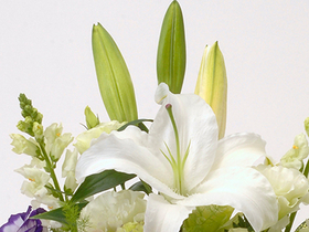 sympathy-flowers-to-japan-funeral-flowers