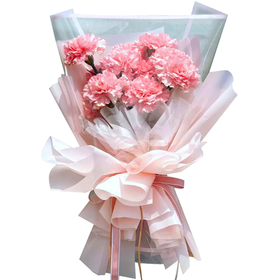 Online Flower Delivery Tokyo – 12 Pink Carnations