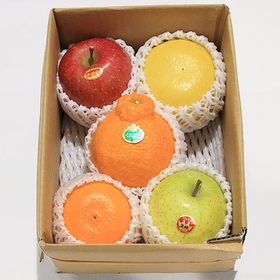 Gift Shop Tokyo | Fresh Mix Fruits Basket