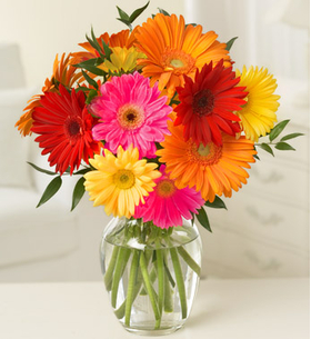 Tokyo Flower Delivery – 10 Stems Mix Color Gerberas Vase