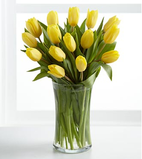 Tokyo Florist | 12 Yellow Tulips in Vase