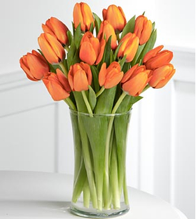 Send 12 Orange Tulips Vase Japan