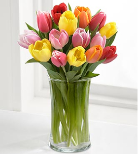 Japan Flower Delivery Tokyo – 12 Mix Tulips Vase