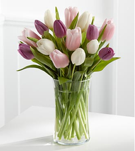 12 Mix Tulips Flower Delivery Japan