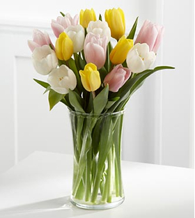 Flower Delivery in Japan Tokyo – 12 Beauty Mix Tulips