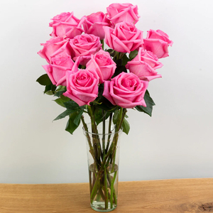 Flower Delivery Tokyo - Twelve Pink Roses in Vase