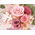 Flowers to Tokyo
