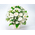 Funeral Flower Japan – Mums Arrangement