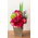 Tokyo Flower Shop – Roses, Mums & Hydrangea