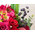 Tokyo Flower Shop