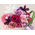Best Flower Delivery Tokyo