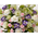 sympathy-flowers-to-japan-funeral-flowers