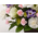 Sympathy Flowers to Japan – Funeral Flowers