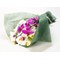 Online Flower Delivery Tokyo - Large Phalaenopsis Bouquet