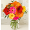 Tokyo Flower Delivery – 10 Stems Mix Color Gerberas Vase
