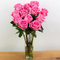 Flower Delivery Tokyo - Twelve Pink Roses in Vase